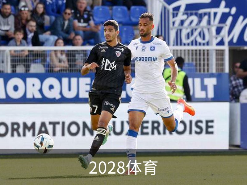 关于2028体育